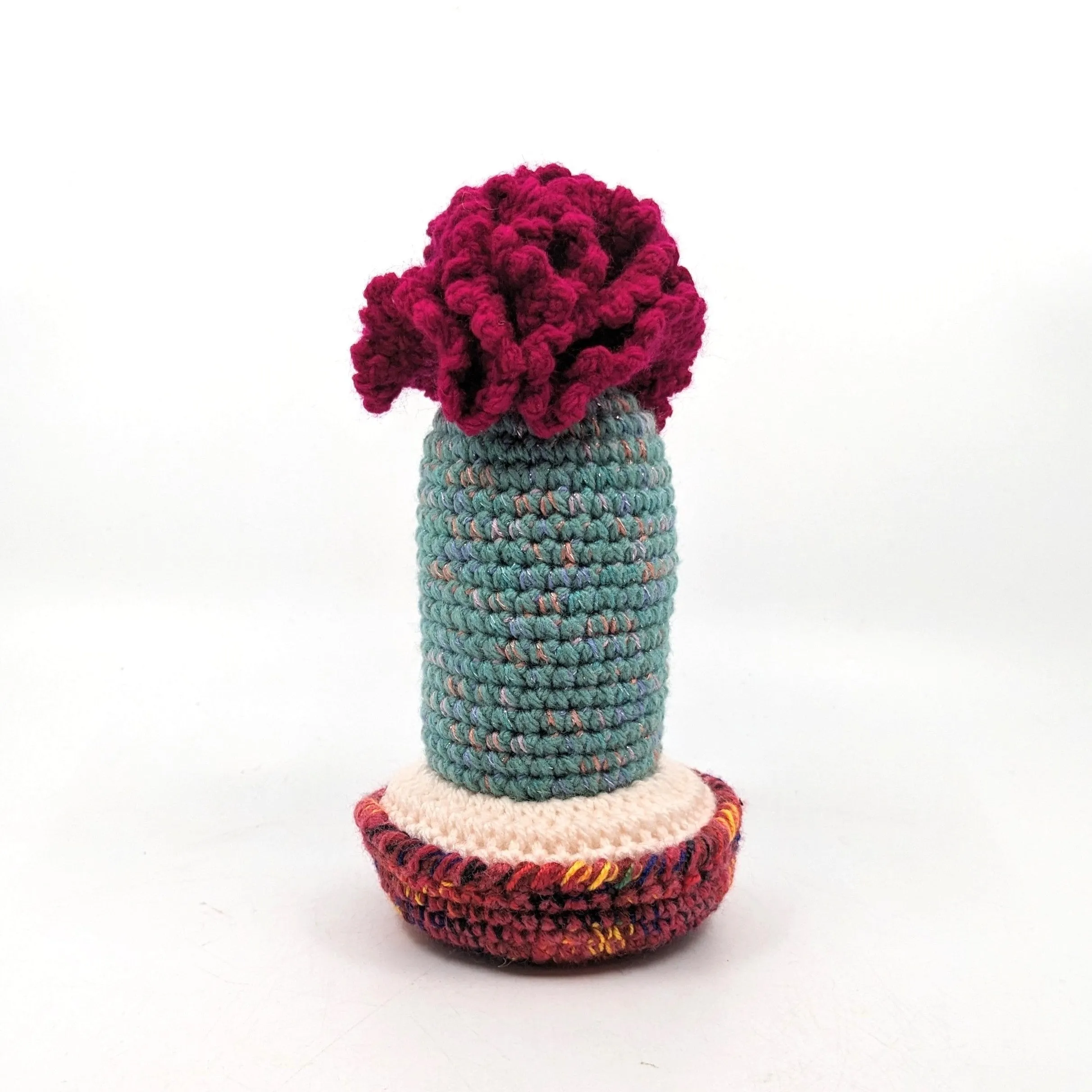 Assorted Cactuses - Millie Radovic