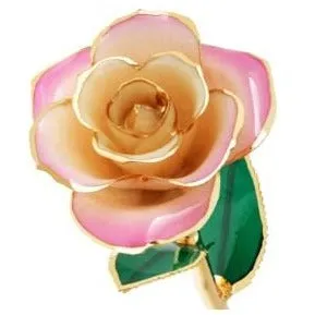 Blushed Pink 24K Gold Dipped Rose