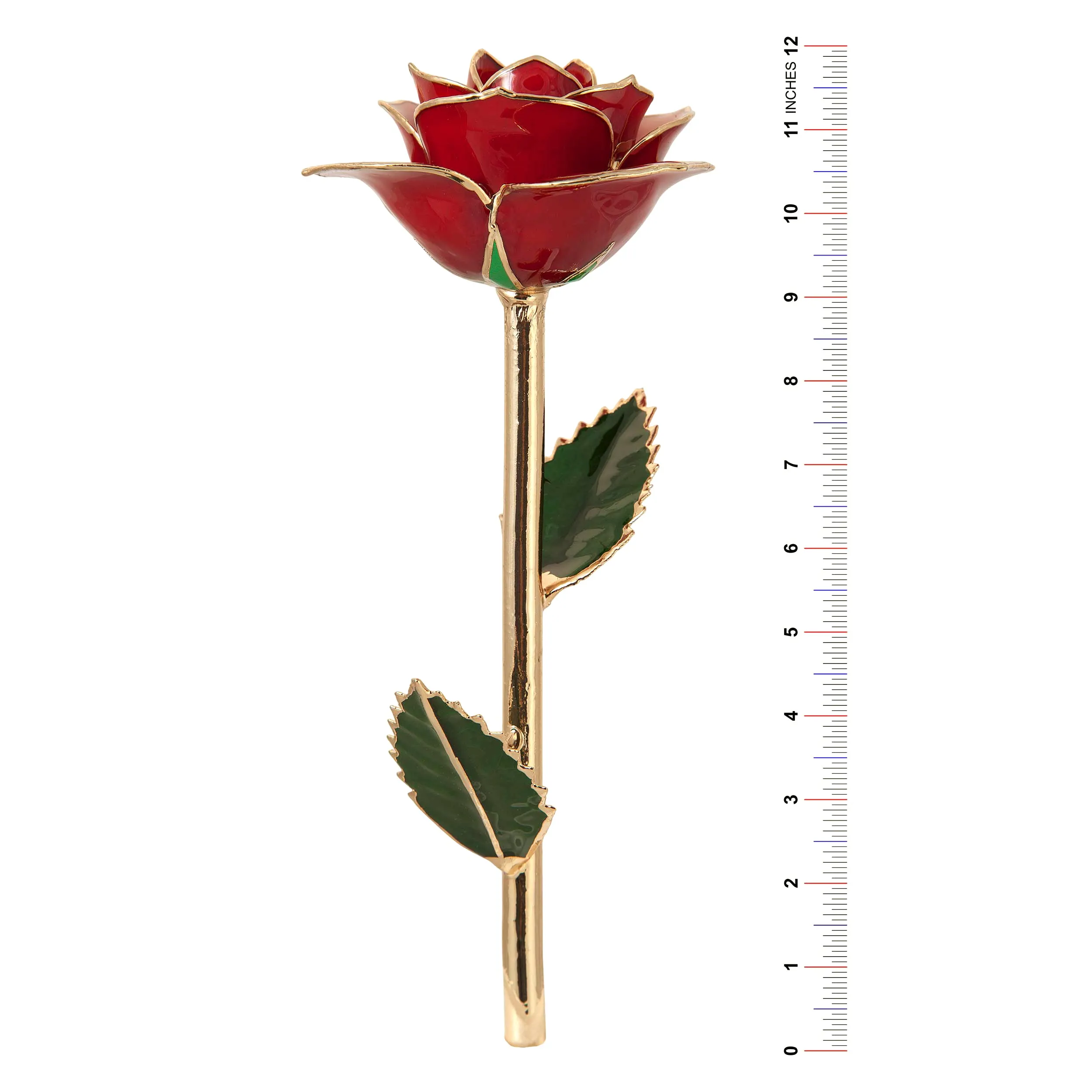 Daring Turquoise 24K Gold Dipped Rose