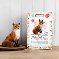 Needle Felting Kits