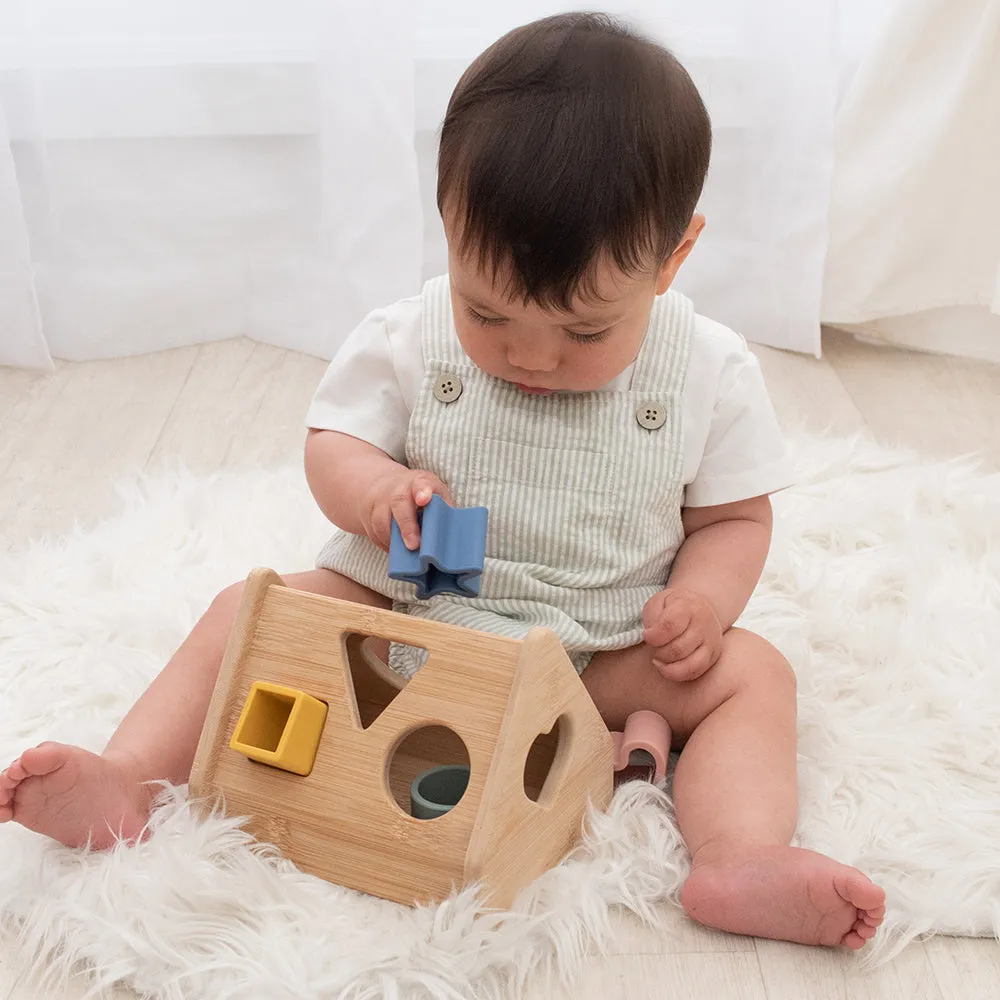 Playground House Shape Sorter