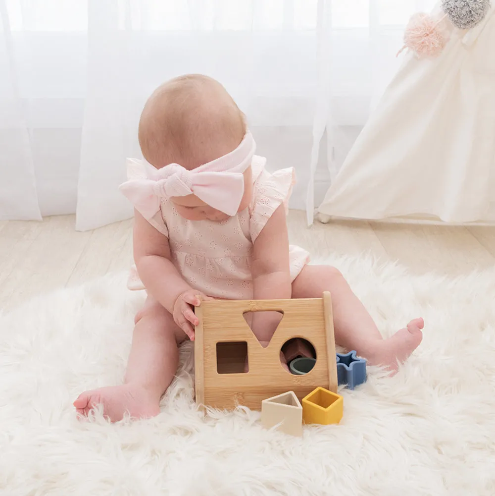 Playground House Shape Sorter