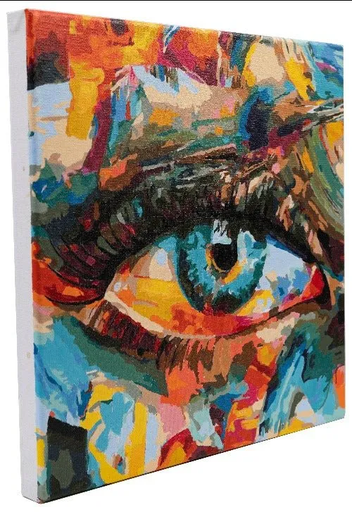 "Creative Eye" Paint By Numb3rs Kit 30x30cm