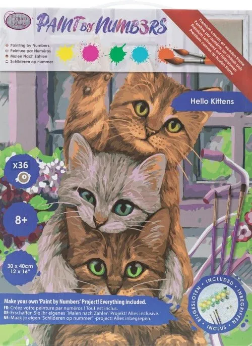 "Hello Kittens" Paint by Numb3rs 30x40cm Framed Kit