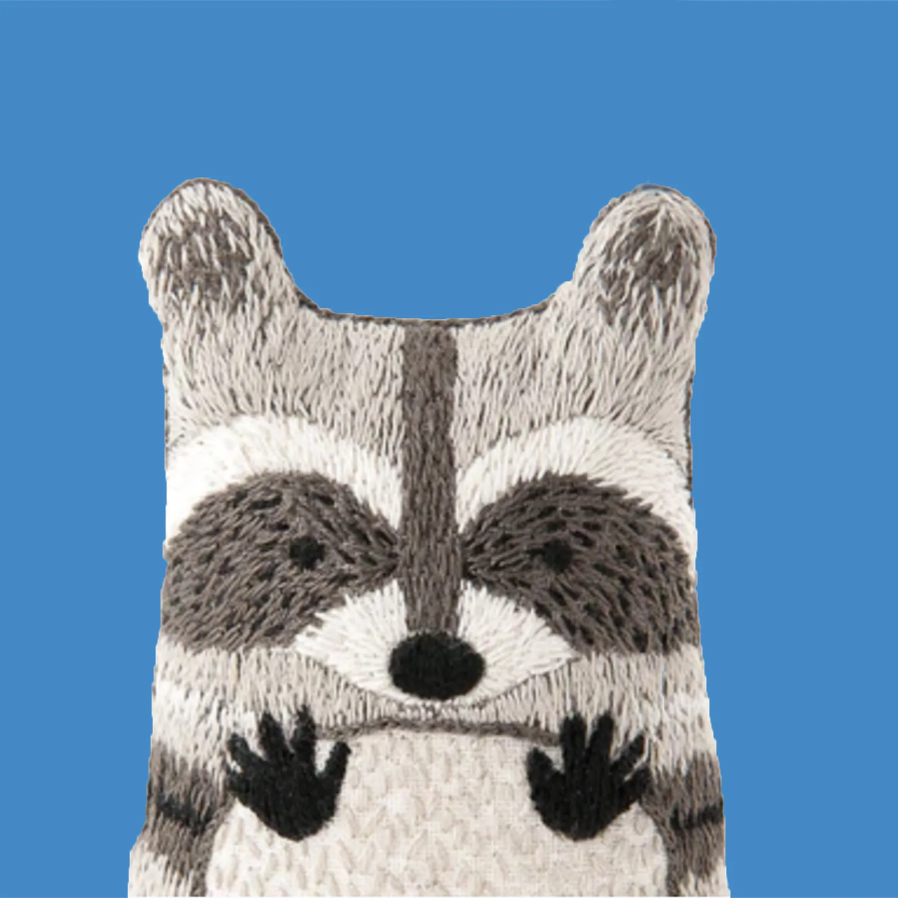 Raccoon Embroidery Kit