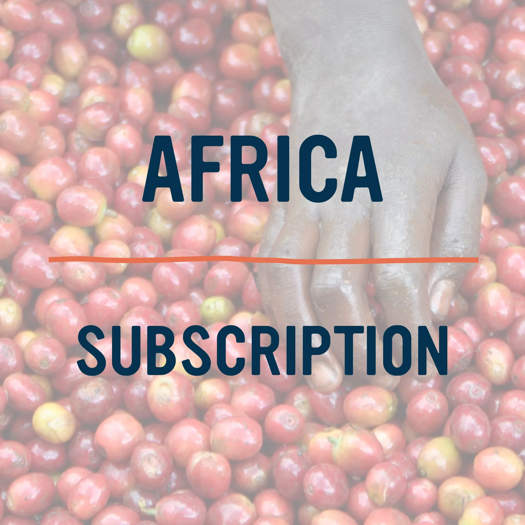 Single Origin Africa Subscription